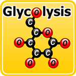 Image link to Glycolysis Game